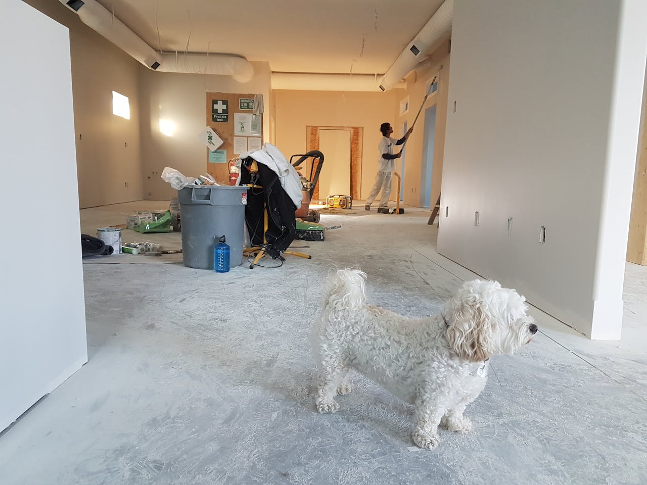 home-hero Interior renovation scene with a painter working and a dog in the foreground.